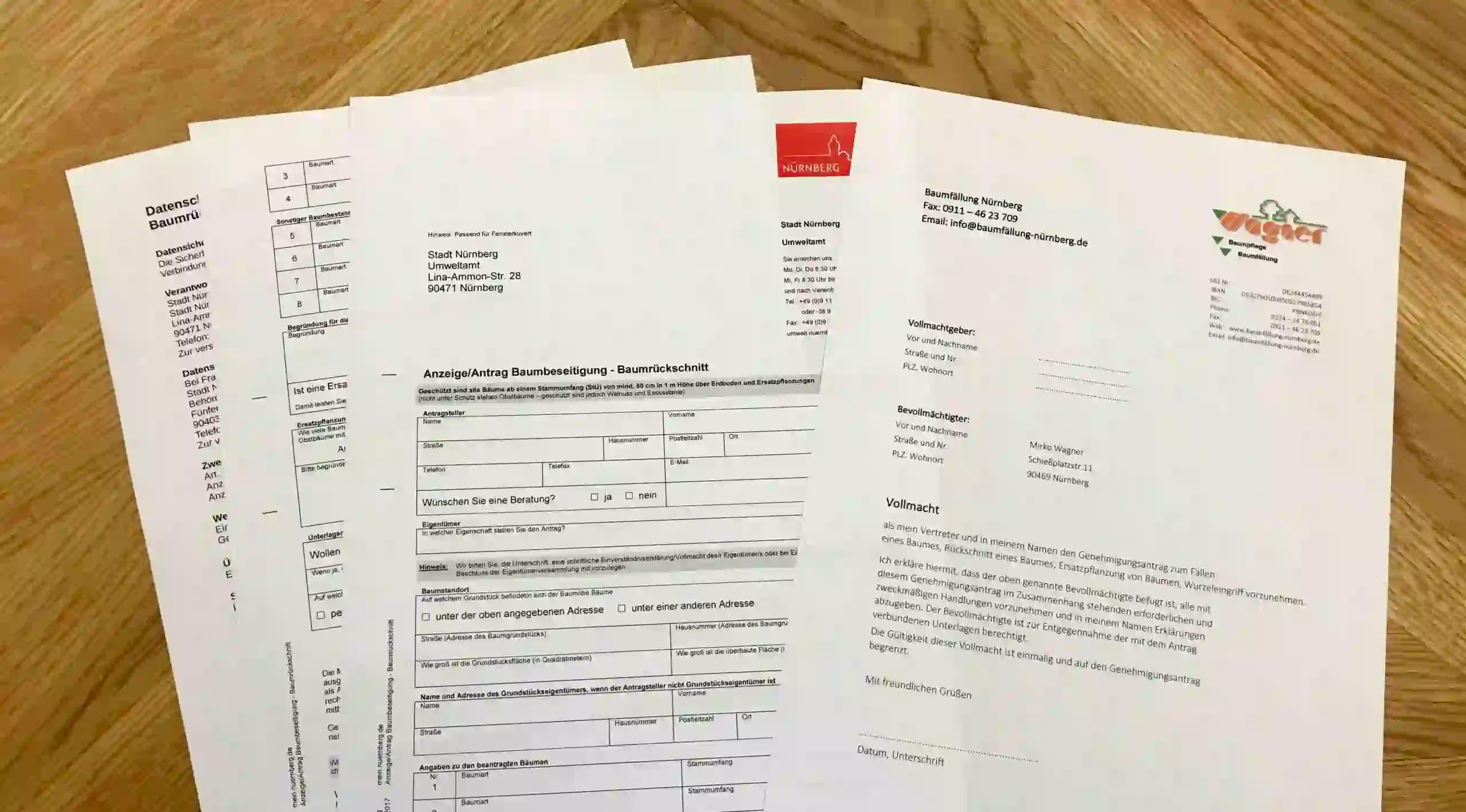 Genehmigung für Baumfällung Baumfällgenehmigung